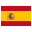 Langauge Flag