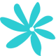 Airline Logo