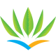 Airline Logo